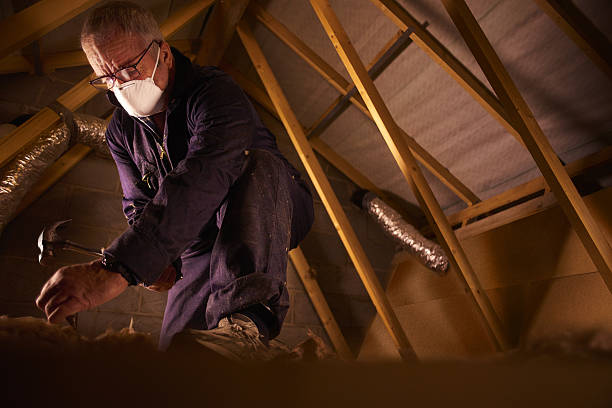Best Energy-efficient Insulation  in Rogers, AR