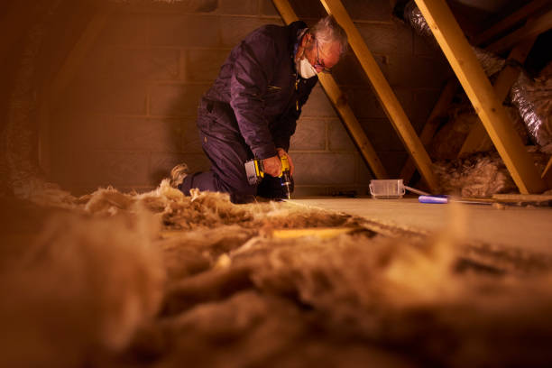 Best Cellulose Insulation  in Rogers, AR